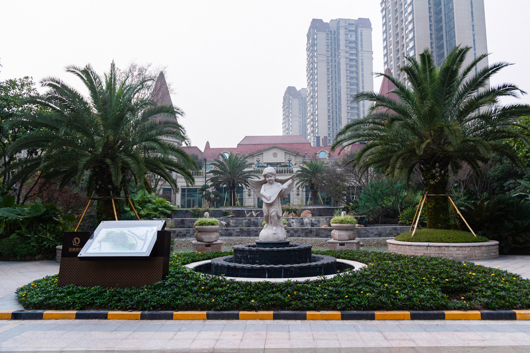 DSC_9223.jpg