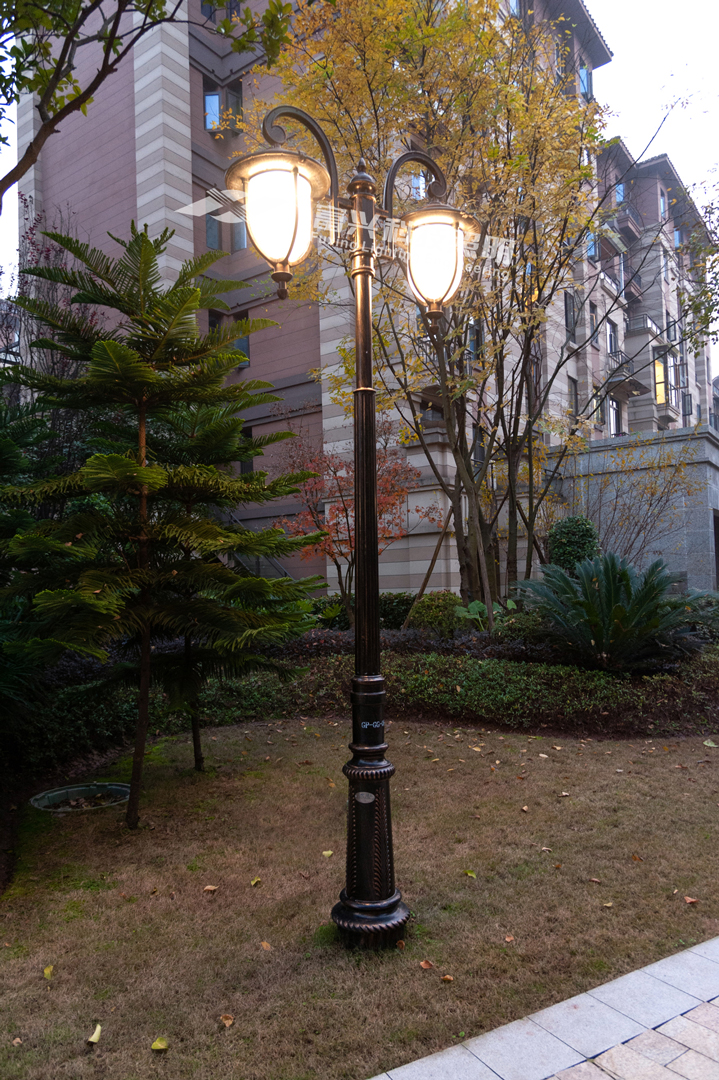 DSC_9242.jpg