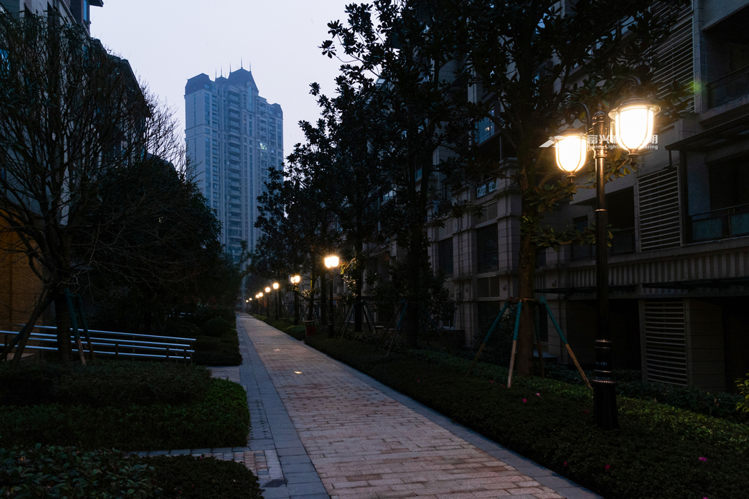 DSC_9248.jpg